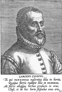 Portret Clusius  49 jaar 1575 Hunger pag. 387